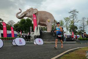 BIB: 
                            <button type="button" onclick="openModal(26528565)" class="btn btn-primary btn-sm float-right btn-popup" data-toggle="modal" data-target=".modal-high-quality">
                        <i class="fas fa-shopping-cart"></i> Add to Cart
                    </button>
                                            <button type="button" onclick="isThisMe(26528565, true)" class="btn btn-success btn-sm float-right btn-popup btn-isme hidden" data-toggle="tooltip" data-placement="bottom" title="นี่คือรูปของคุณใช่ไหม คลิกที่นี่เพื่อเอาเข้าอัลบั้ม">
                        <i class="fas fa-plus"></i> Add to album
                    </button>
                    <button type="button" onclick="isThisMe(26528565, false)" class="btn btn-warning btn-sm float-right btn-popup btn-isnotme hidden">
                        <i class="fas fa-ban"></i> Remove from album
                    </button>